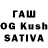 Альфа ПВП СК Sagid Bagamaev