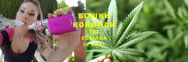соль ск Белокуриха