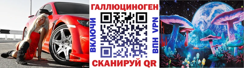 купить  цена  Высоцк  Галлюциногенные грибы Psilocybe 